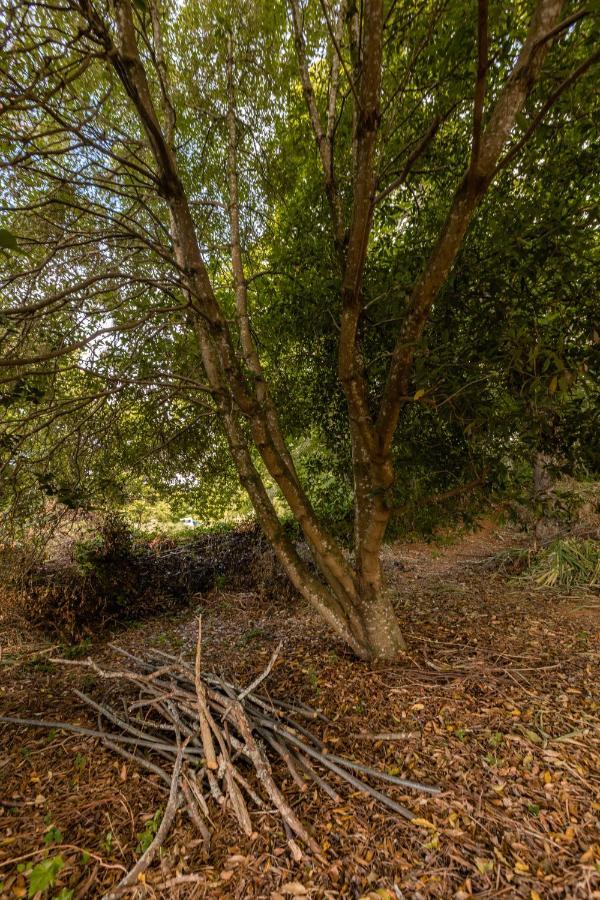 Maison Mialon: Country House Amidst Of Nature La Esperanza  Εξωτερικό φωτογραφία