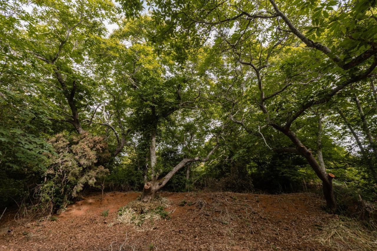 Maison Mialon: Country House Amidst Of Nature La Esperanza  Εξωτερικό φωτογραφία